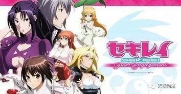 肉番动漫在线观看