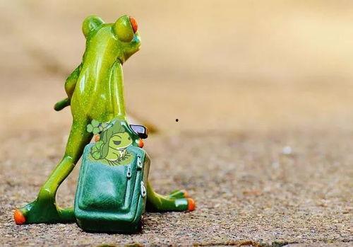 网红青蛙站着吃瓜,站姿吃瓜，萌态十足引网友热议